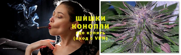 дурь Алзамай