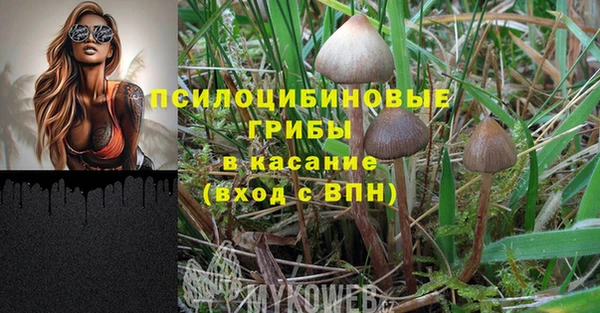 индика Абдулино