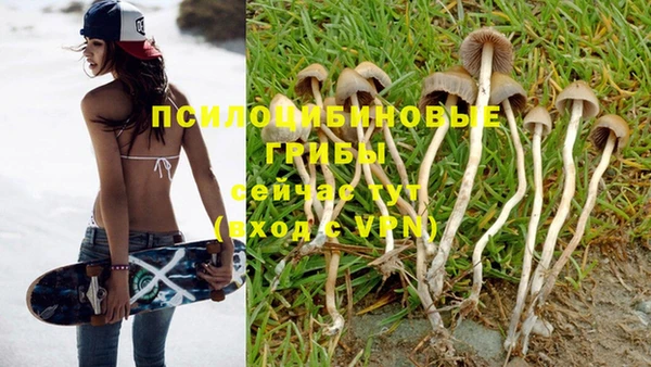 дурь Алзамай