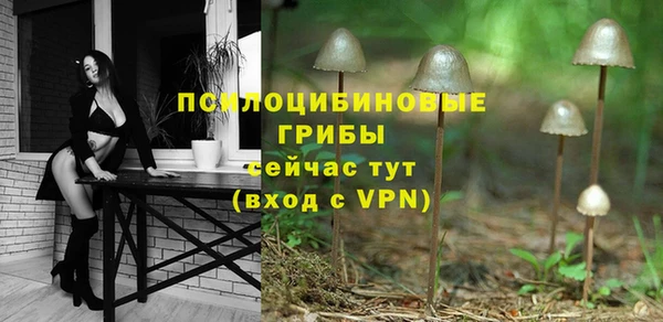 хмурый Алексеевка
