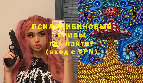 хмурый Алексеевка